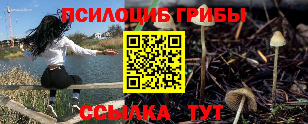 Галлюциногенные грибы мухоморы  Вход с VPN  Сарапул  Галлюциногенные грибы Psilocybine cubensis 