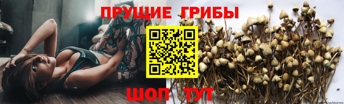 Галлюциногенные грибы MAGIC MUSHROOMS Сарапул